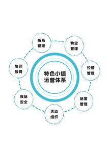 專訪光合文化創意集團董事長趙興朋 特色小鎮是個有機生命體，數字文化創意內容的應用與服務